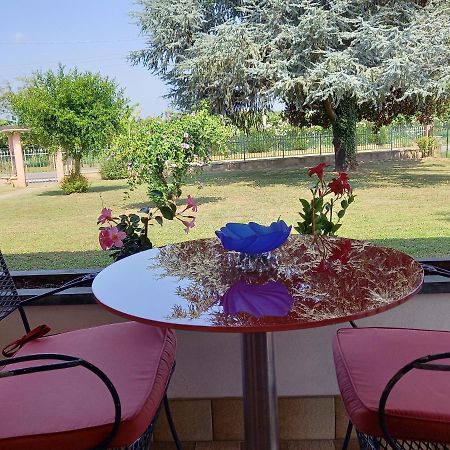 B & B Cedro Argentato Legnago Eksteriør billede