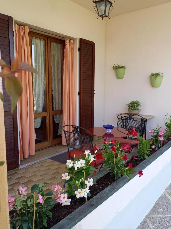 B & B Cedro Argentato Legnago Eksteriør billede