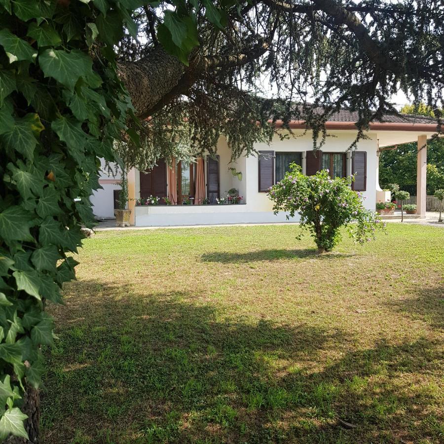 B & B Cedro Argentato Legnago Eksteriør billede