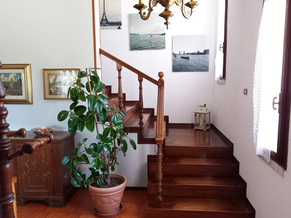 B & B Cedro Argentato Legnago Eksteriør billede